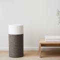 The Benefits of Air Purifiers: Why They Are Worth the Investment