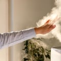 The Ultimate Guide to Choosing Between a Humidifier or Air Purifier for Allergies