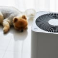 The Power of Air Purifiers for Allergies and Sinus Problems