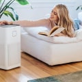 The Ultimate Guide to Using an Air Purifier