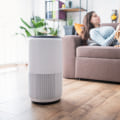 The Truth About Air Purifiers and Allergies