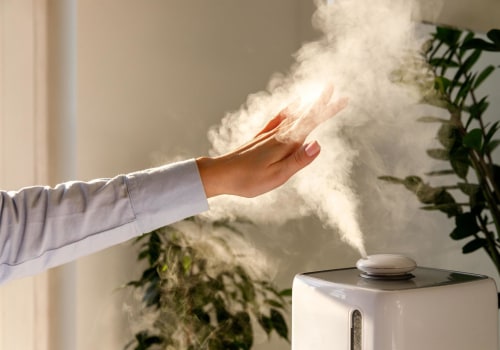 The Ultimate Guide to Choosing Between a Humidifier or Air Purifier for Allergies