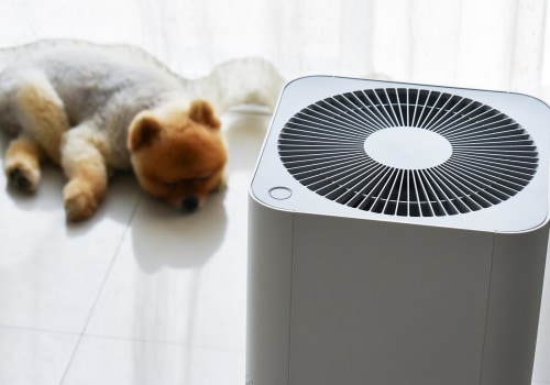 The Power of Air Purifiers for Allergies and Sinus Problems