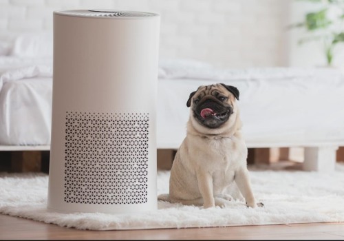 The Truth About Air Purifiers: Separating Fact from Fiction