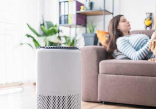 The Truth About Air Purifiers and Allergies