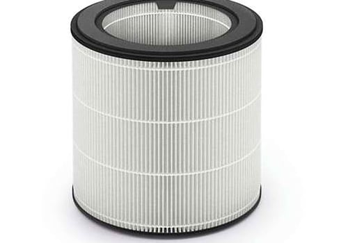 The Truth About HEPA Filters and Allergies: An Expert's Perspective