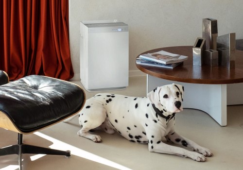 The Benefits of Air Purifiers: What You Need to Know